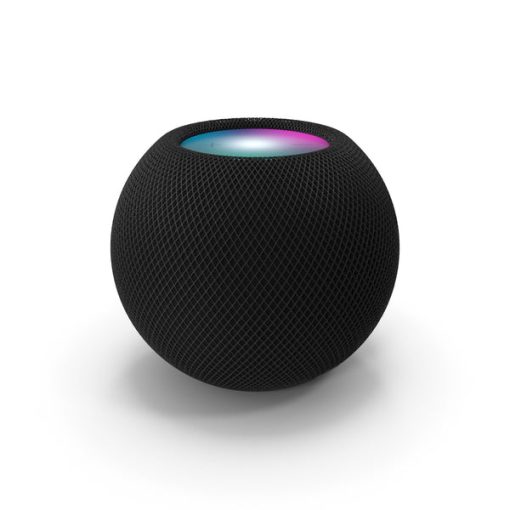 Voice Enabled Smart Speaker Apple Home Pod Mini - Space Gray-TurboTech215