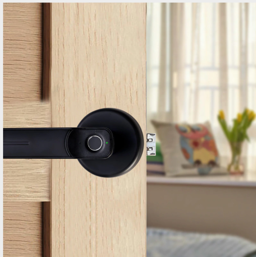 Smart Biometric Fingerprint Lock Electronic Keyless Password Security Door Lock-TurboTech215
