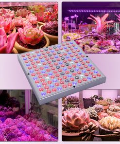 2000W/8000W LED Plant Light For All Indoor Plant Light Growth Lamp