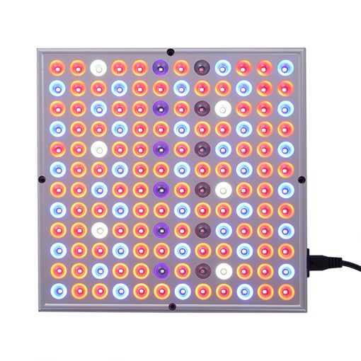 2000W/8000W LED Plant Light  For All Indoor Plant Light Growth Lamp TurboTech Co 5