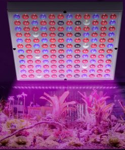 2000W/8000W LED Plant Light  For All Indoor Plant Light Growth Lamp TurboTech Co
