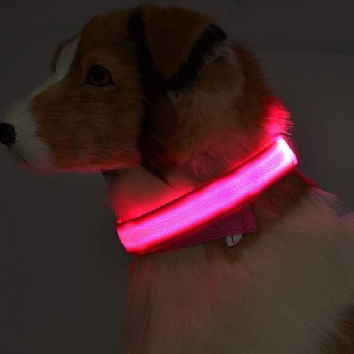Nylon LED Pet Collar Luminous Night Safety Flashing Glow in Dark Dog Cat Leash Adjustable Pet Supplies TurboTech Co 3