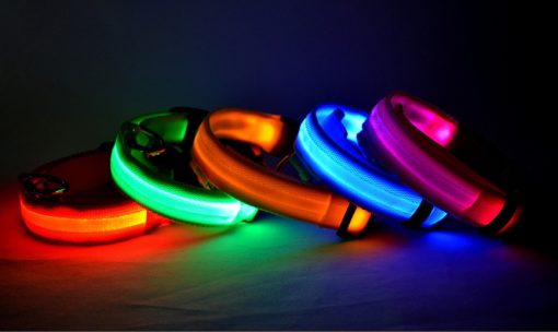 Nylon LED Pet Collar Luminous Night Safety Flashing Glow in Dark Dog Cat Leash Adjustable Pet Supplies TurboTech Co 7