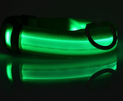 Nylon LED Pet Collar Luminous Night Safety Flashing Glow in Dark Dog Cat Leash Adjustable Pet Supplies TurboTech Co 10