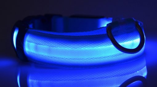 Nylon LED Pet Collar Luminous Night Safety Flashing Glow in Dark Dog Cat Leash Adjustable Pet Supplies TurboTech Co 8