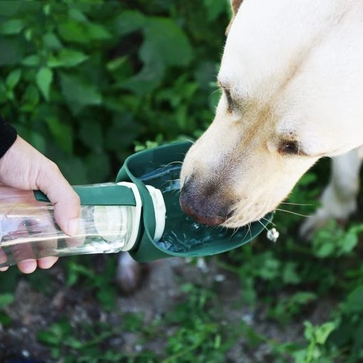2 In 1 Multifunction Pet Dog Water Bottle Silicone Foldable Portable Puppy Food Bowl Drinking Dispenser Travel Labrador Supplies Pet Products TurboTech Co 4