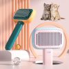 Cat Comb Massage Pet Magic Combs Hair Removal Cat And Dog Brush Pets Grooming Cleaning Supplies Scratcher TurboTech Co 12