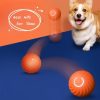 Nylon LED Pet Collar Luminous Night Safety Flashing Glow in Dark Dog Cat Leash Adjustable Pet Supplies TurboTech Co 11