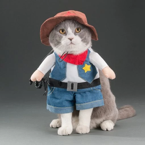 Spring and autumn pet cat costume TurboTech Co 4