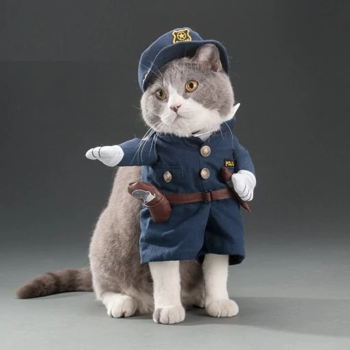 Spring and autumn pet cat costume TurboTech Co 8