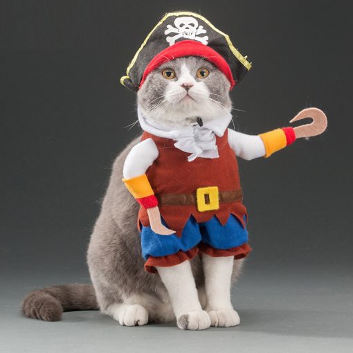 Spring and autumn pet cat costume TurboTech Co 2