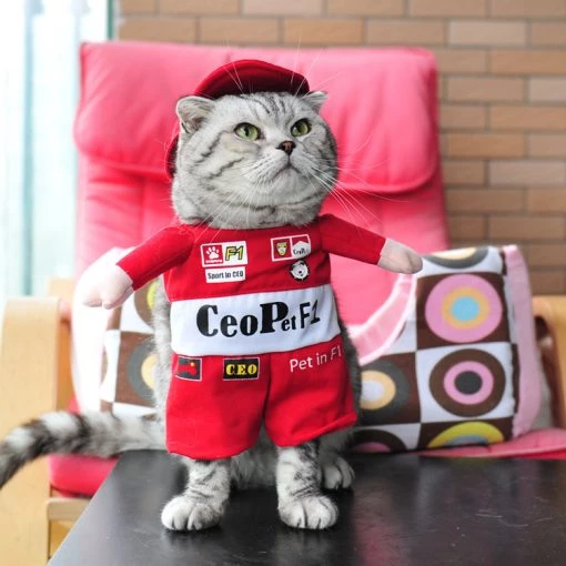 Spring and autumn pet cat costume TurboTech Co 9