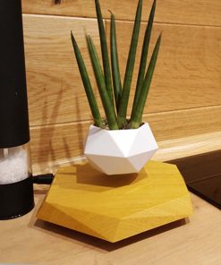 Floating Magnetic Levitating Flower Pot Bonsai Air Plant Pot Planter Potted For Office Desk Home Decor Creative Gift