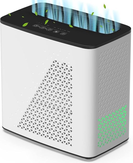 Air Purifier With True HEPA  Filter Auto Mode Air Quality Sensor Removes Dust Smoke Pet Dander TurboTech Co