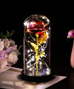 LED Light Rose Flower in Glass Gift TurboTech Co 2