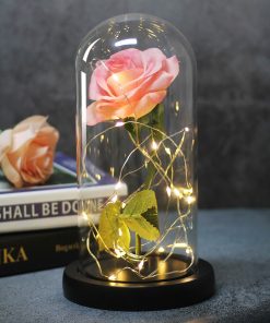 LED Light Rose Flower in Glass Gift TurboTech Co