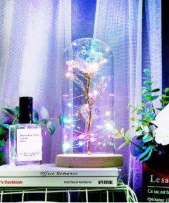 LED Light Rose Flower in Glass Gift