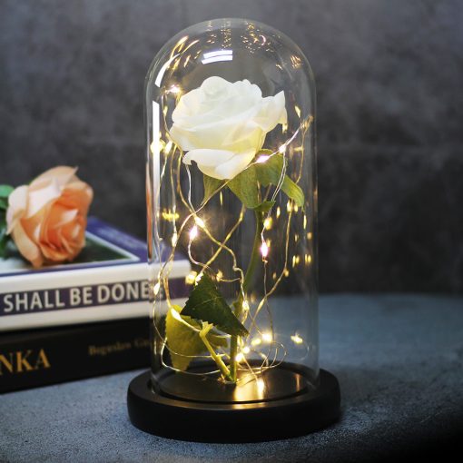 LED Light Rose Flower in Glass Gift TurboTech Co 3