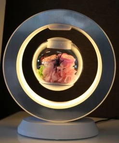 Desk Lamp Magnetic Levitation Flowers Table Nightlight Gift Idea Home Decor TurboTech Co 2
